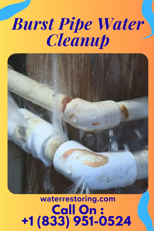 Burst Pipe Water Cleanup in Brooklyn, OH