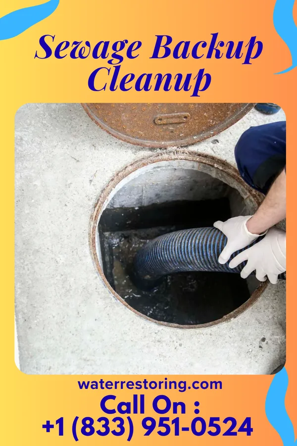 Sewage Backup Cleanup in Brooklyn, OH