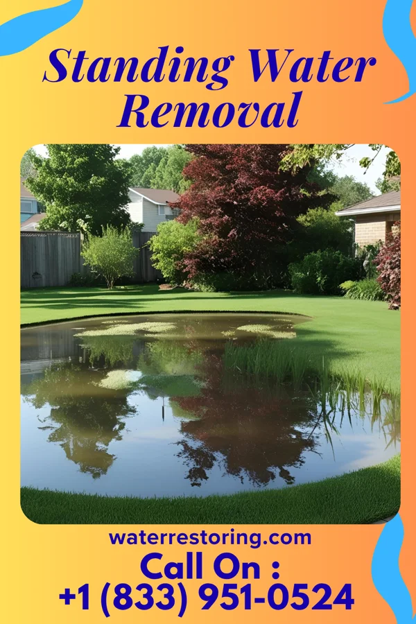 Standing Water Removal in Brooklyn, OH